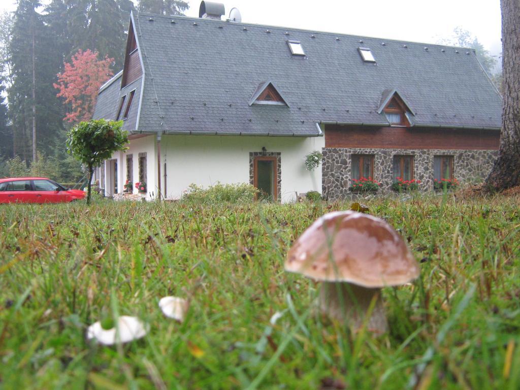 Penzion pod Dobákom Lazisko Esterno foto